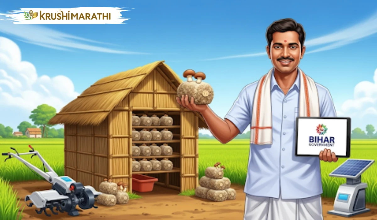 Bihar mushroom subsidy yojana 2025