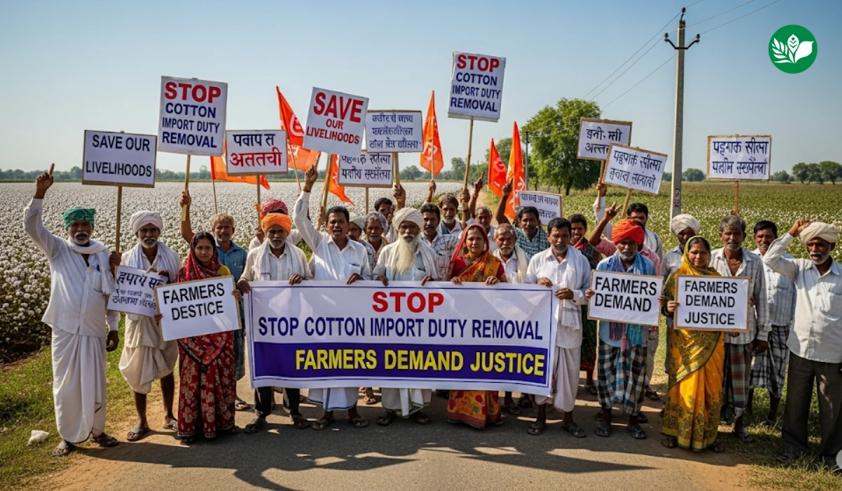 Cotton import duty removal sparks farmer protests
