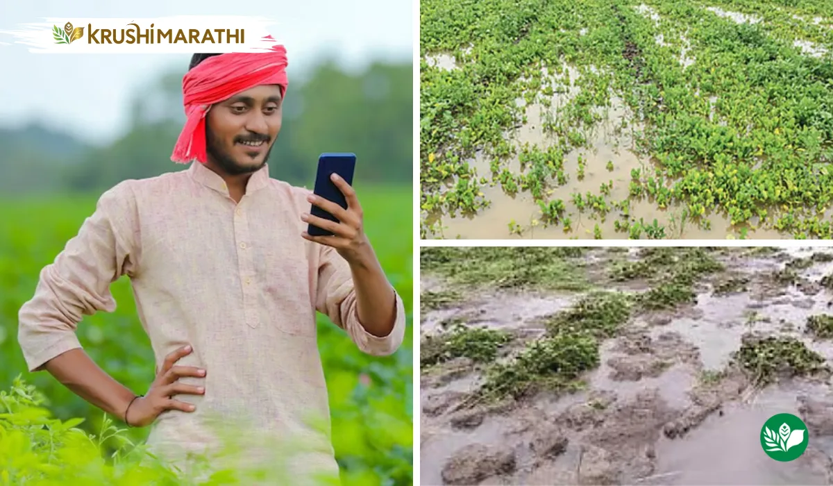 How to claim crop insurance after flood