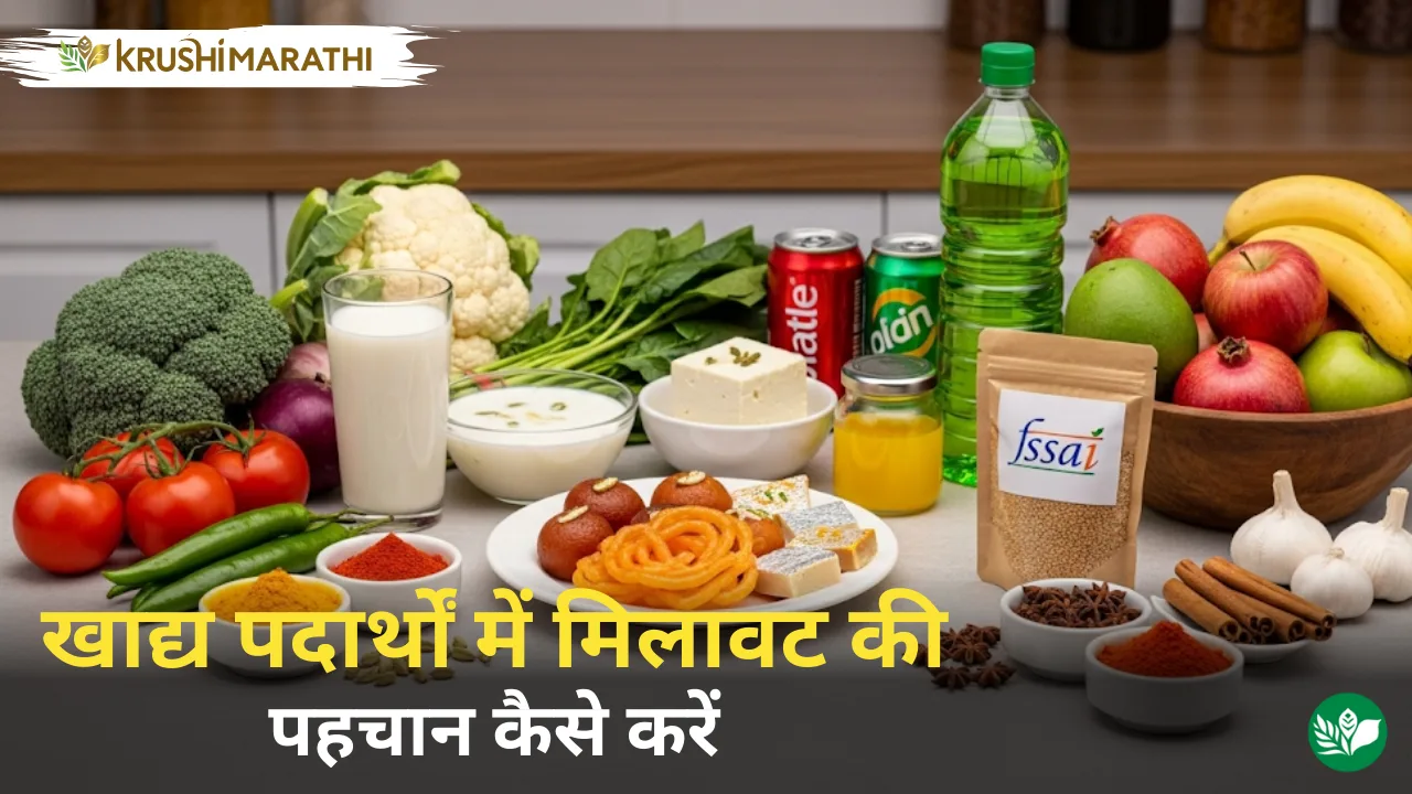 Identifying adulterated food items during festivals