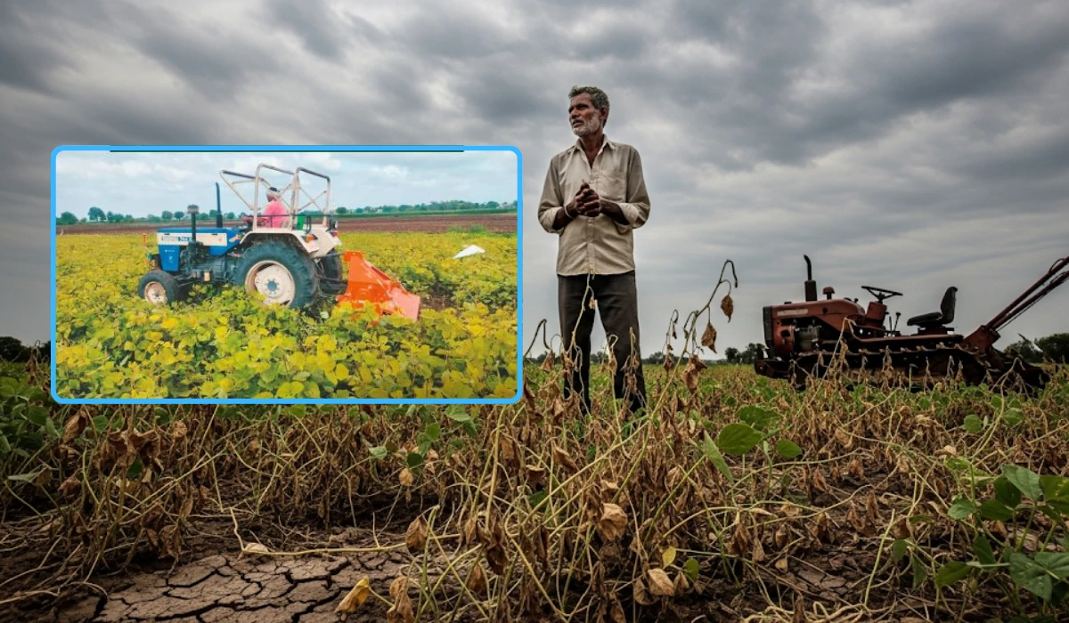 Jalgaon kharif crop crisis 2025