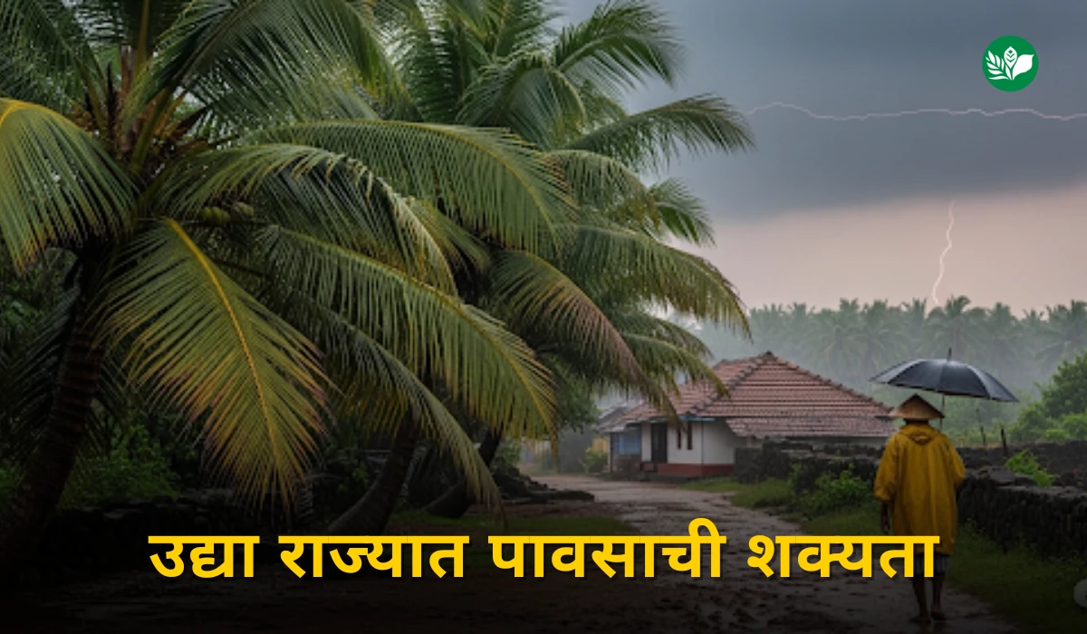 Maharashtra monsoon forecast august