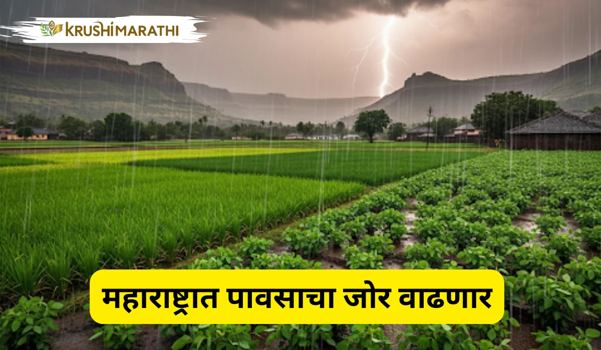 Maharashtra rain weather update august 2025