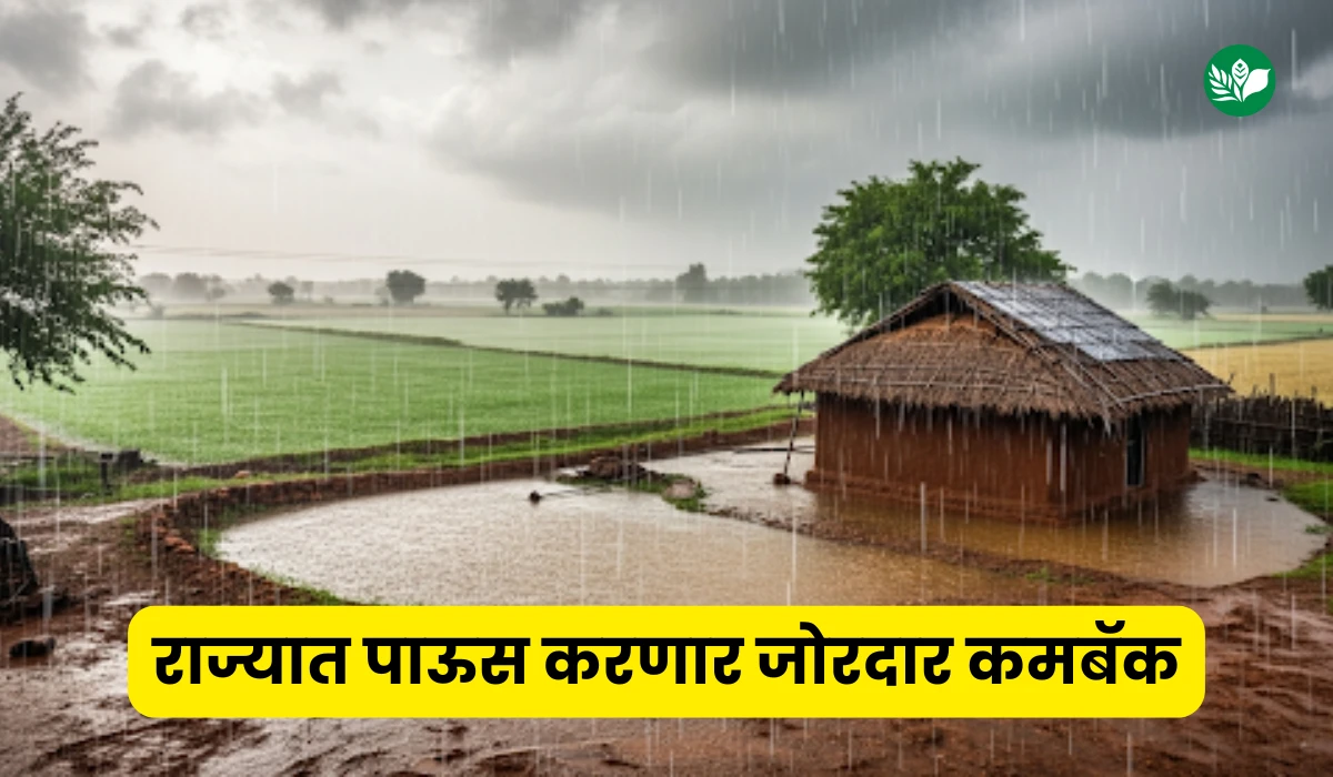 Maharashtra weather update august 2025 rain yellow alert