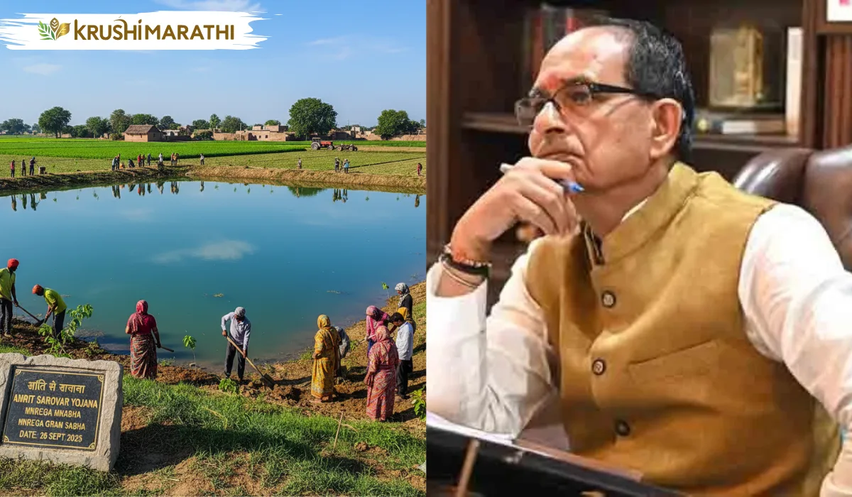 Mnrega budget water conservation village wells ponds
