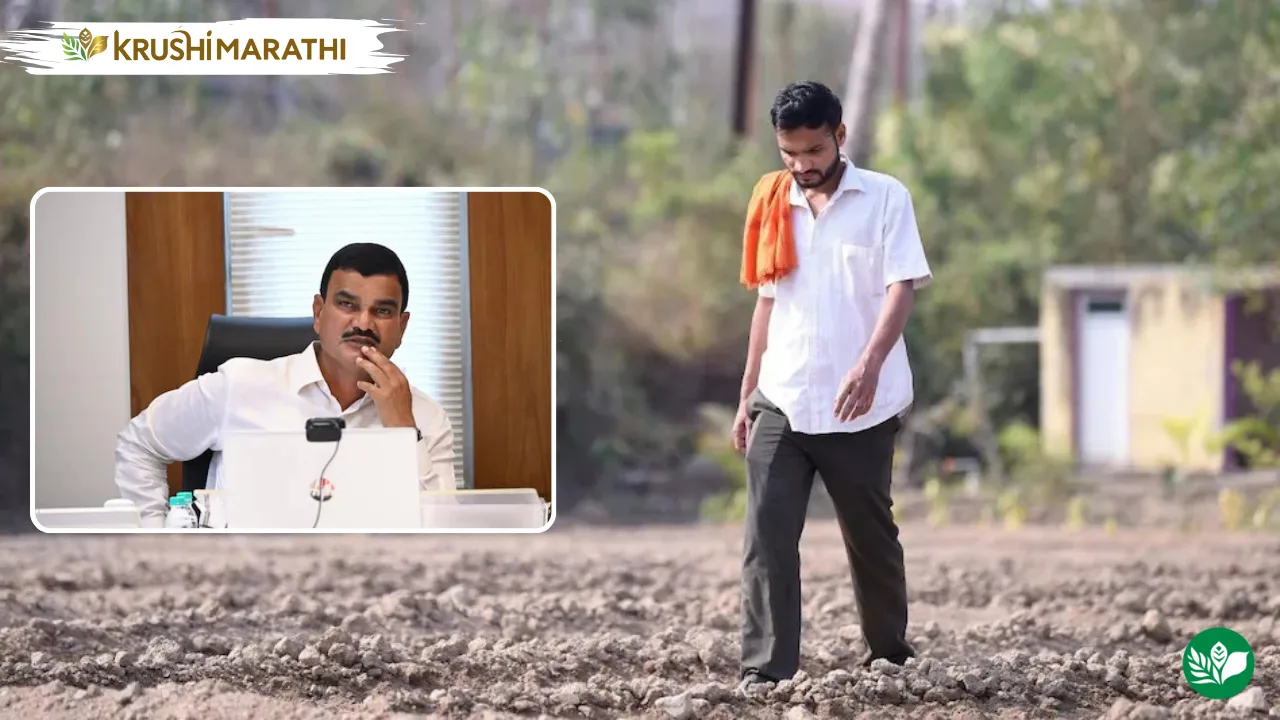 Nanded farmers to get 100 percent crop loss relief