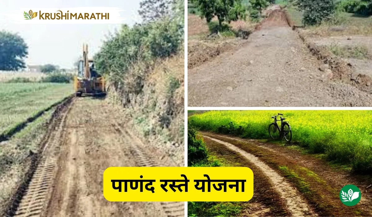 Panand mukti yojana maharashtra