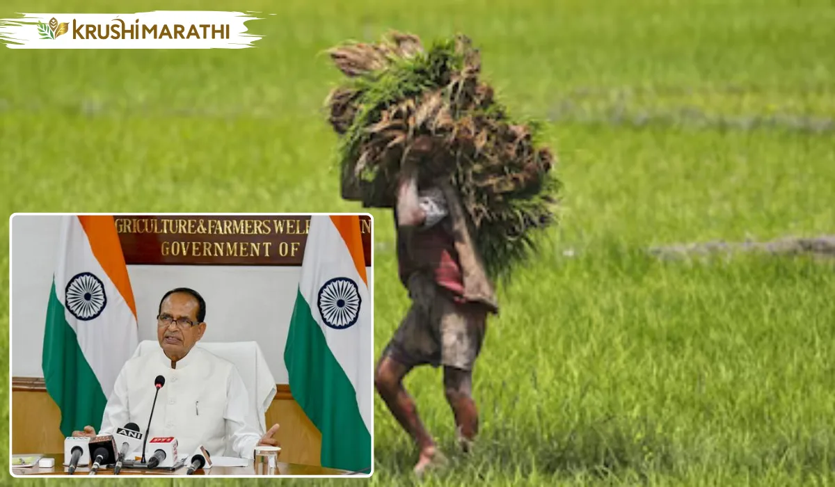 Pm kisan 21st installment flood hit farmers