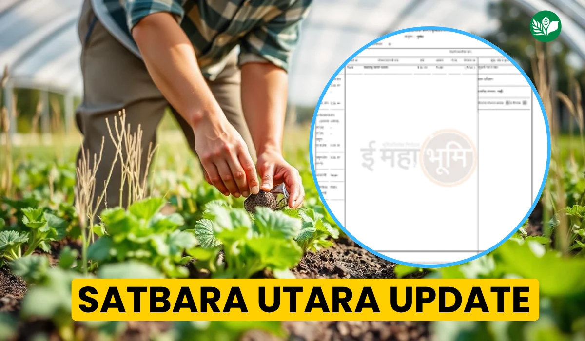 Satbara apak shera removal campaign maharashtra