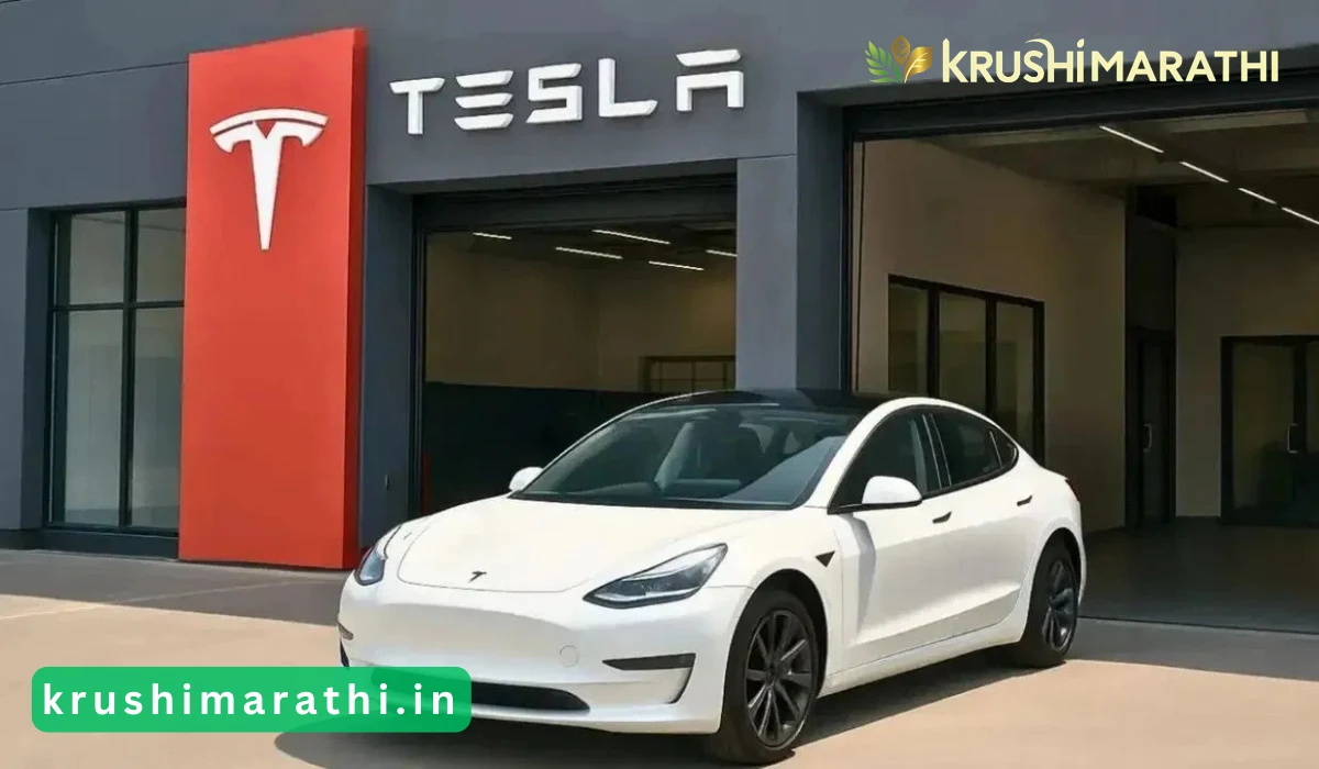 Tesla first showroom open in mumbai model y launched