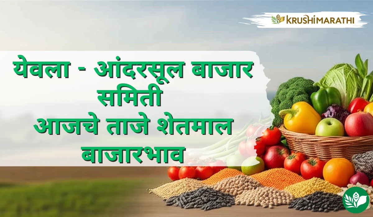येवला -आंदरसूल बाजार समितीचे आजचे शेतमाल बाजारभाव (Live Rates)