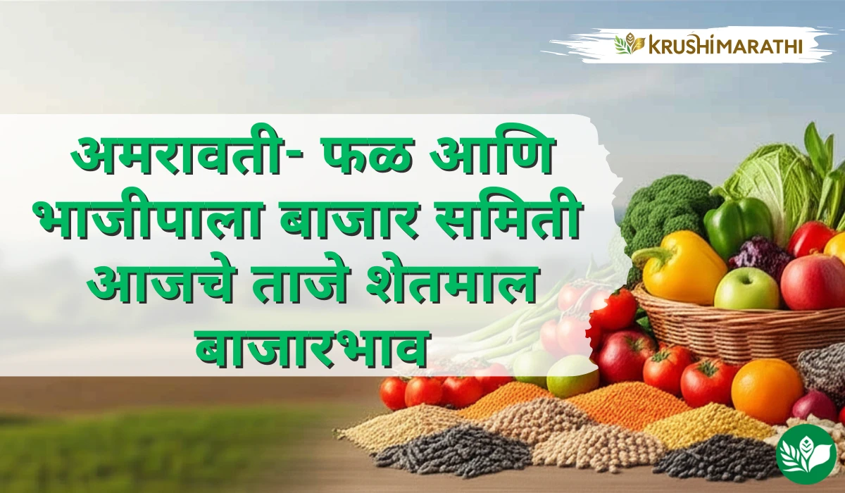 अमरावती- फळ आणि भाजीपाला बाजार समितीचे आजचे शेतमाल बाजारभाव (Live Rates)