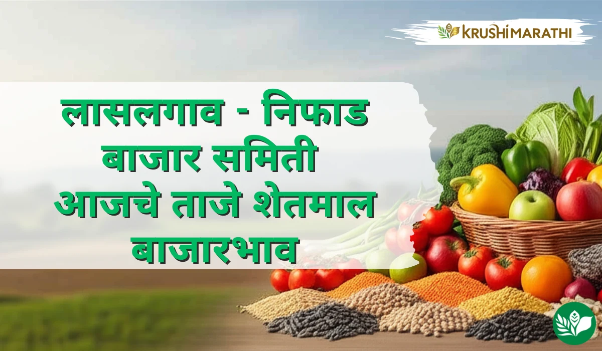 लासलगाव - निफाड बाजार समितीचे आजचे शेतमाल बाजारभाव (Live Rates)