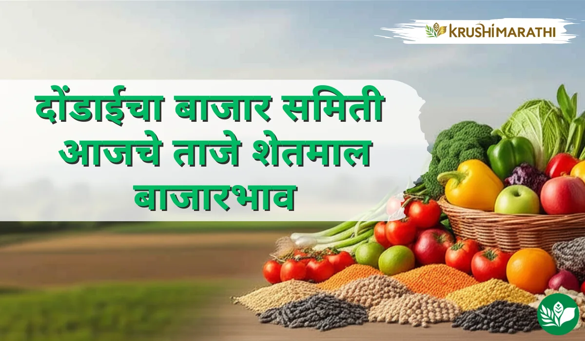 दोंडाईचा बाजार समितीचे आजचे शेतमाल बाजारभाव (Live Rates)