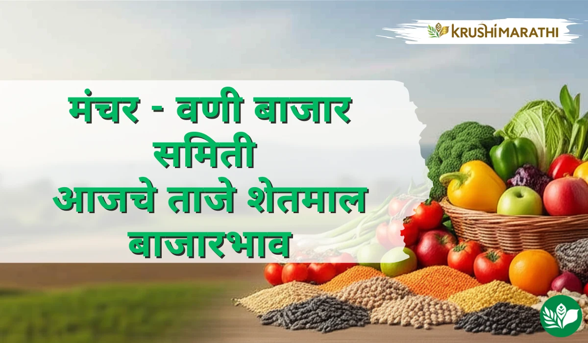 मंचर- वणी बाजार समितीचे आजचे शेतमाल बाजारभाव (Live Rates)