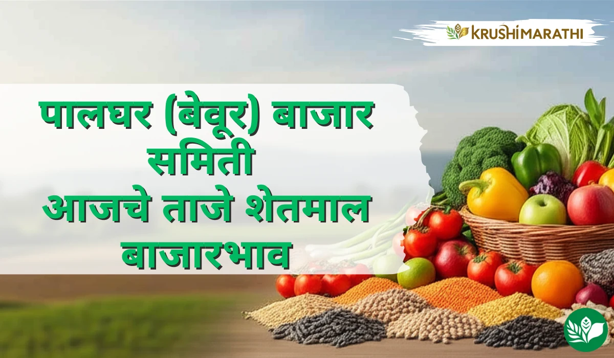 पालघर (बेवूर) बाजार समितीचे आजचे शेतमाल बाजारभाव (Live Rates)
