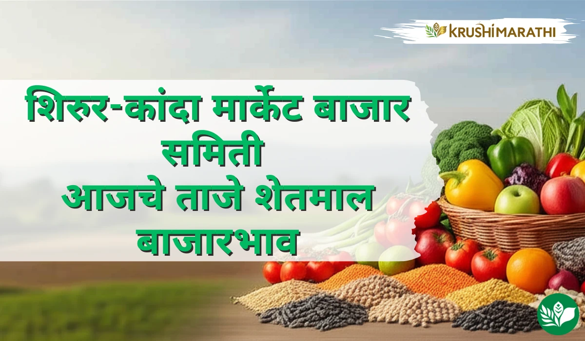 शिरुर-कांदा मार्केट बाजार समितीचे आजचे शेतमाल बाजारभाव (Live Rates)