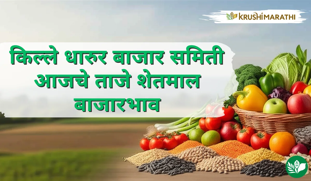 किल्ले धारुर बाजार समितीचे आजचे शेतमाल बाजारभाव (Live Rates)
