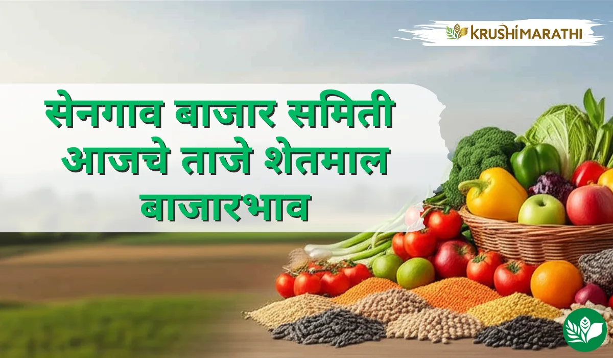 सेनगाव बाजार समितीचे आजचे शेतमाल बाजारभाव (Live Rates)