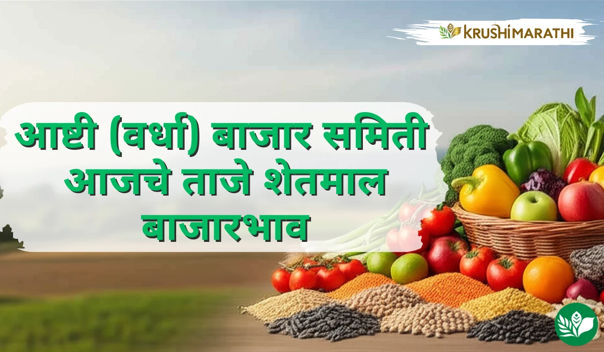 आष्टी (वर्धा) बाजार समितीचे आजचे शेतमाल बाजारभाव (Live Rates)