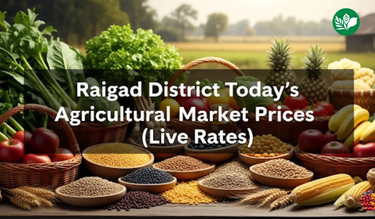 रायगड जिल्हा आजचे शेतमाल बाजारभाव (Live Rates)