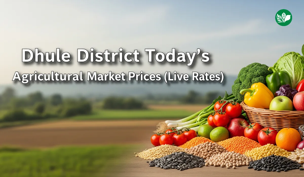 धुळे जिल्हा आजचे शेतमाल बाजारभाव (Live Rates)