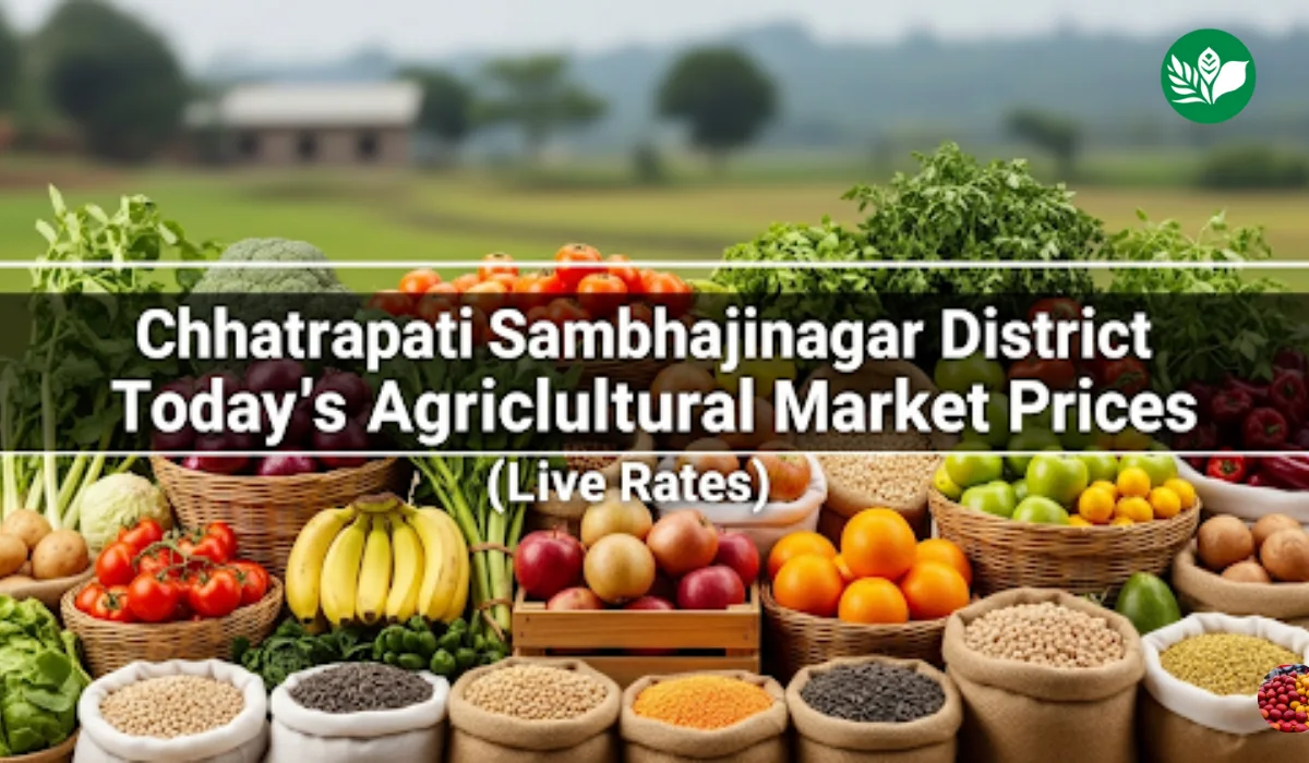 छत्रपती संभाजीनगर जिल्हा आजचे शेतमाल बाजारभाव (Live Rates)