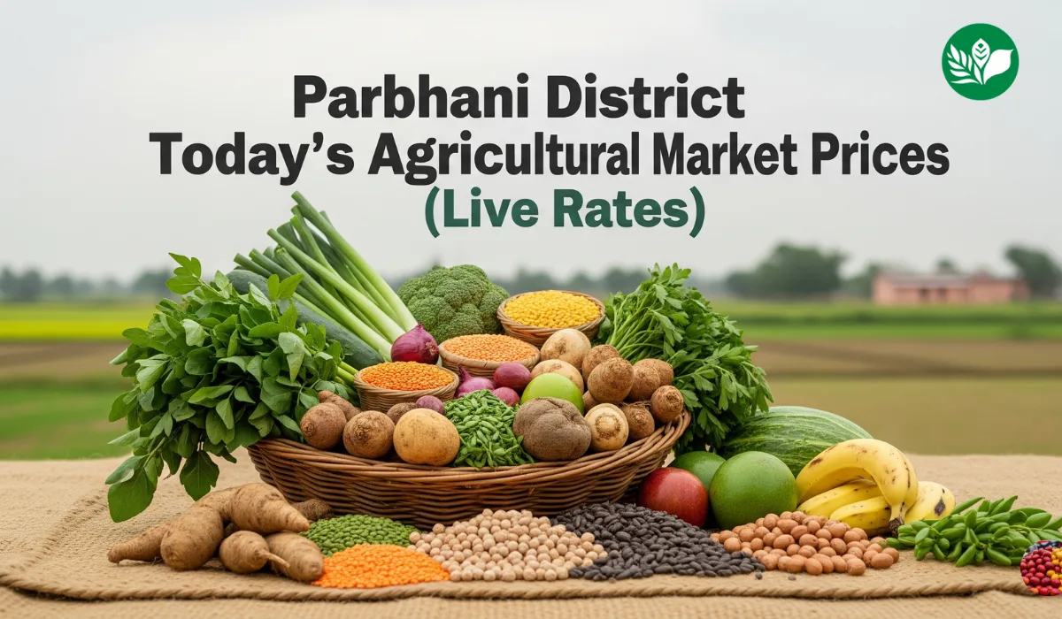 परभणी जिल्हा आजचे शेतमाल बाजारभाव (Live Rates)