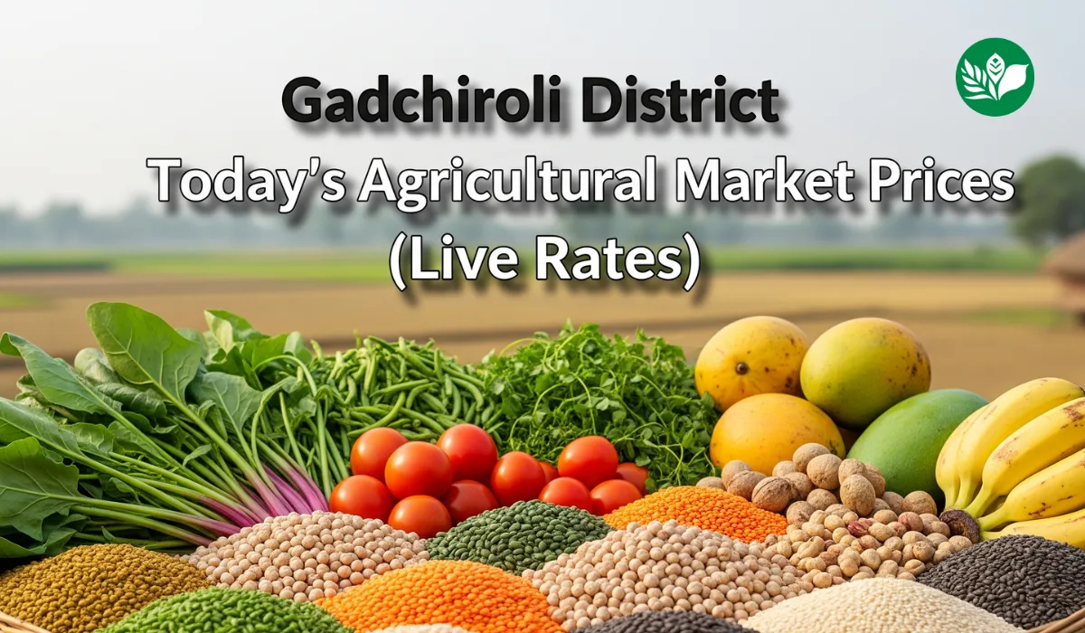गडचिरोली जिल्हा आजचे शेतमाल बाजारभाव (Live Rates)