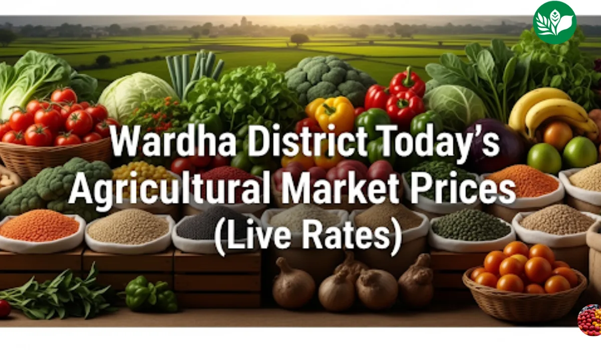 वर्धा जिल्हा आजचे शेतमाल बाजारभाव (Live Rates)