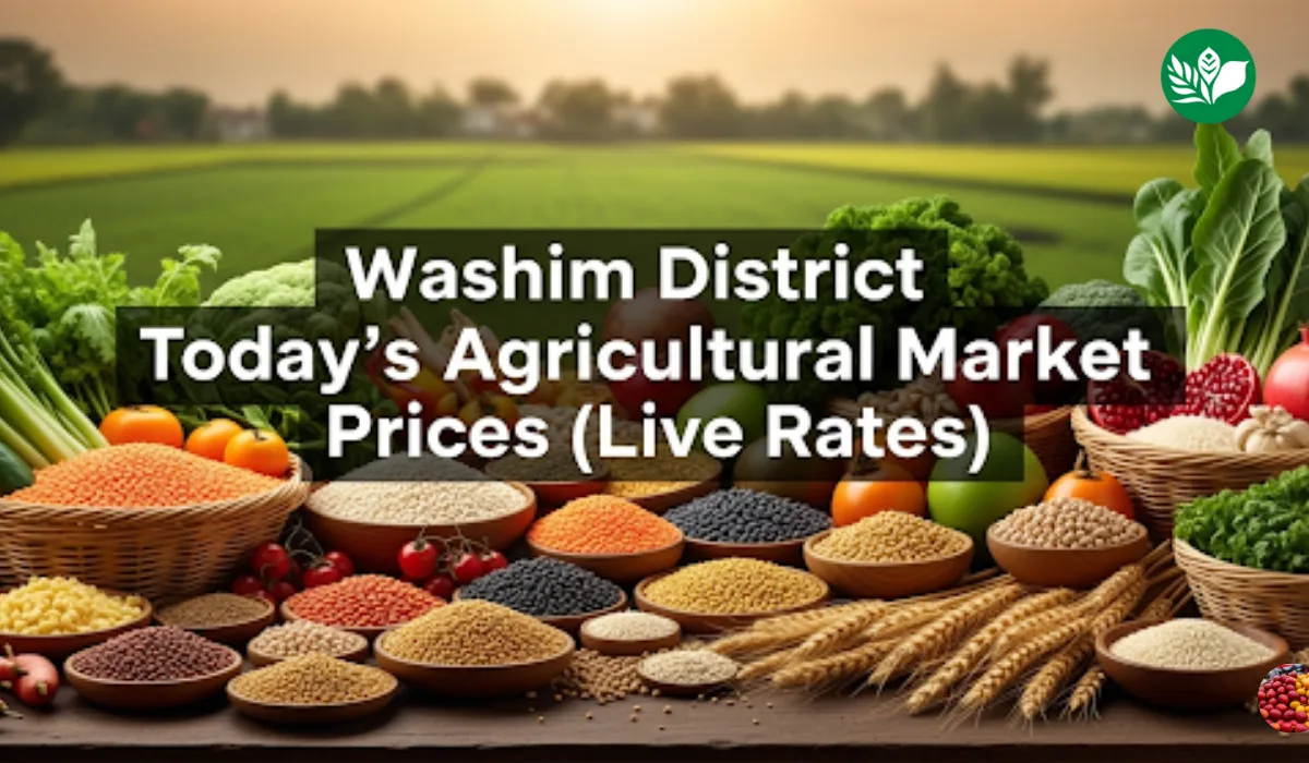 वाशिम जिल्हा आजचे शेतमाल बाजारभाव (Live Rates)