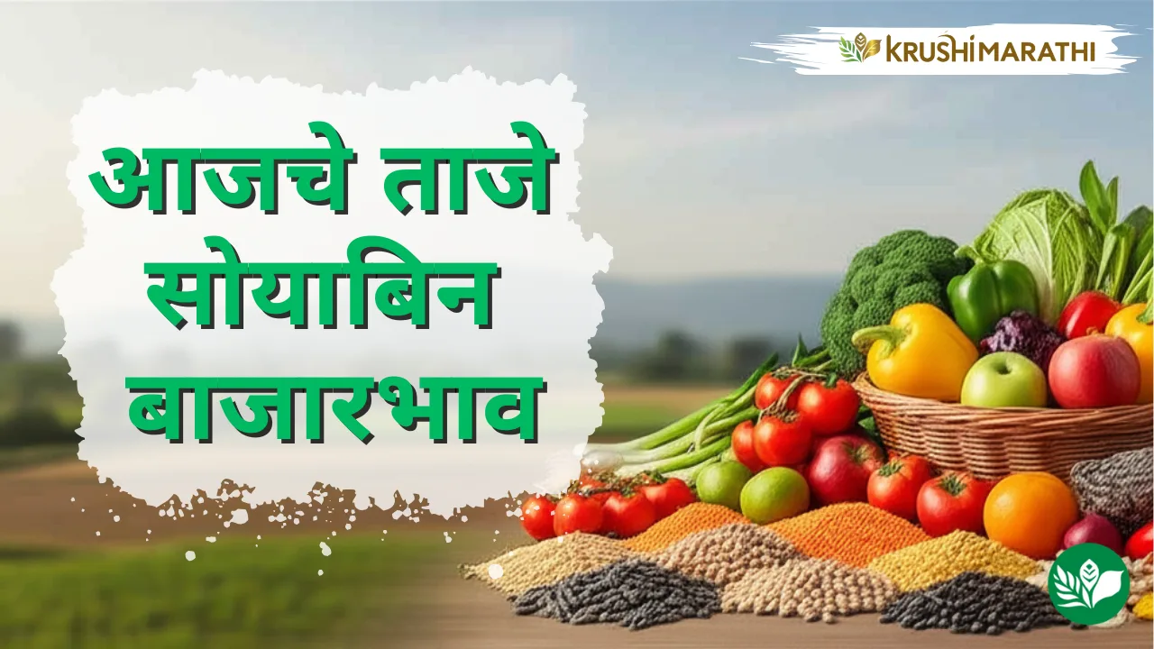 आजचे सोयाबिन बाजारभाव