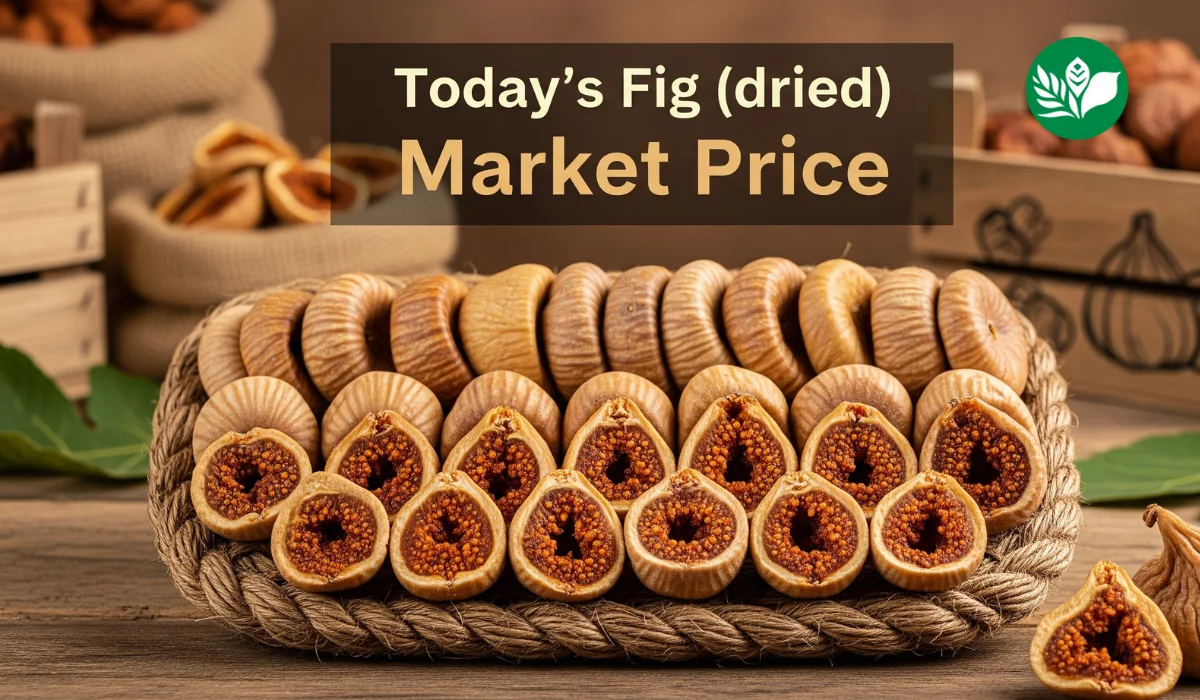 आजचे अंजीर (सुके) बाजारभाव